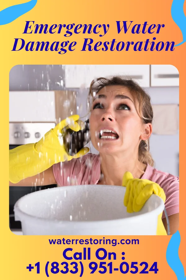 Emergency Water Damage Restoration in Centralia, MO