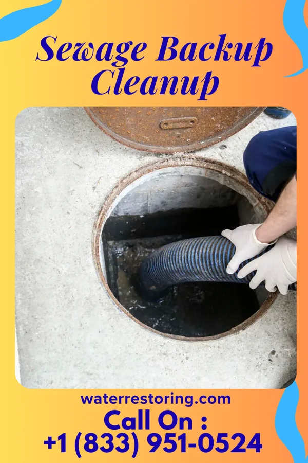 Sewage Backup Cleanup in Centralia, MO